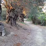 La Di Minerva Αγκριτζέντο