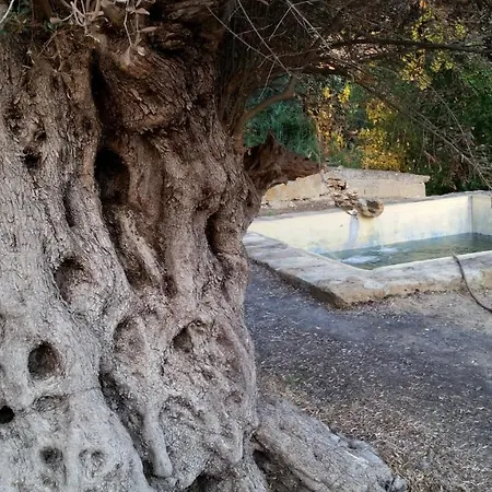 Villa La Di Minerva Agrigento